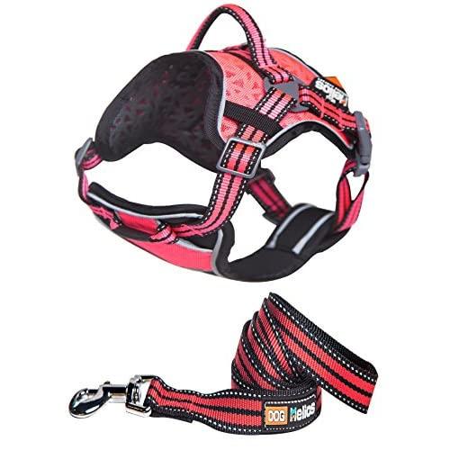 DOGHELIOS Journey Wander Chest Compressive Sporty Adjustable Travel Pet Dog Harness and Leash Combination, Small, Pink