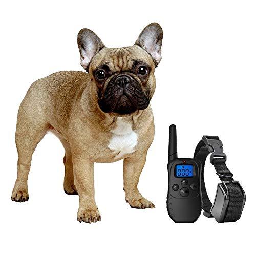 eXuby Shock Collar for Small Dogs with Remote - Includes 2 Collars - Small & Medium and Training Clicker 