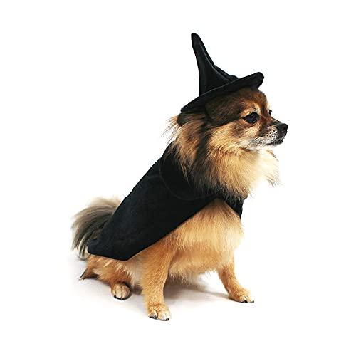 Midlee Halloween Witch Cape and Hat Dog Costume (Small)