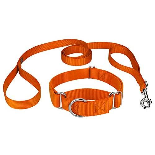 Country Brook Design - Martingale Nylon Dog Collar & Double Handle Leash-Orange-S