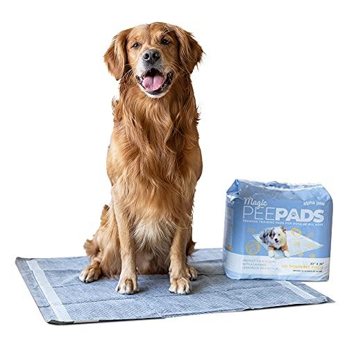 Alpha Paw - Thicker XL Pee Pads for Dogs - Puppy Training - Peel & Stick Backing - Activated Charcoal for Odor - Thicker for Absorption - XLarge - 26 x 30 (40 Count)