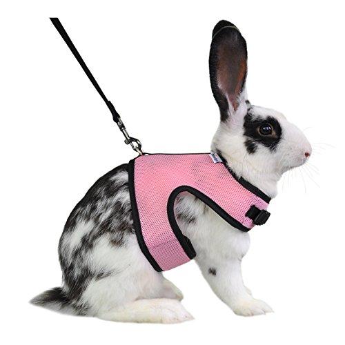 Niteangel Adjustable Soft Harness with Elastic Leash for Rabbits (XL, Pink)