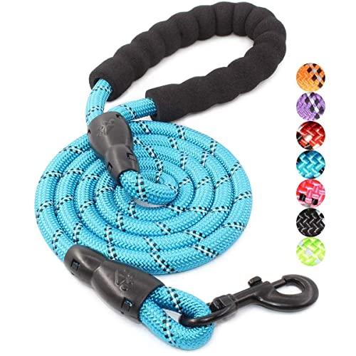 BAAPET 2/4/5/6 FT Strong Dog Leash with Comfortable Padded Handle and Highly Reflective Threads for Small Medium and Large Dogs (5FT-1/2, Blue)