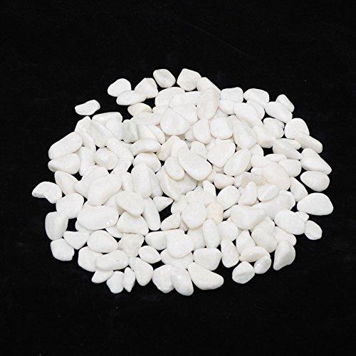 CNZ Polished Snow White 5 Pounds for Plant Aquariums Landscaping Home Decor, 0.8-1.5 inch