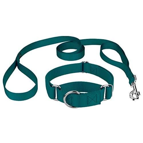 Country Brook Petz - Martingale Heavyduty Nylon Dog Collar and Double Handle Leash - Teal - Small