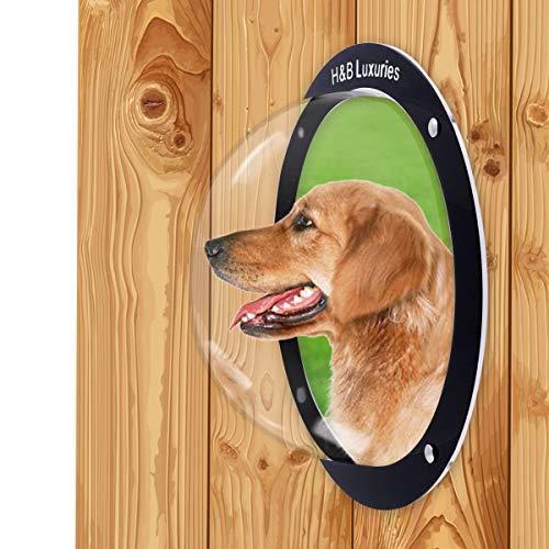 H&B Luxuries Durable Acrylic Dome Dog Window for Fence to View Outside for Satisfying Curious Pets FW058