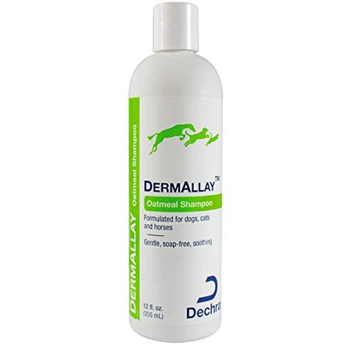 Dechra DermAllay Oatmeal Shampoo for Cats and Dogs 12 oz