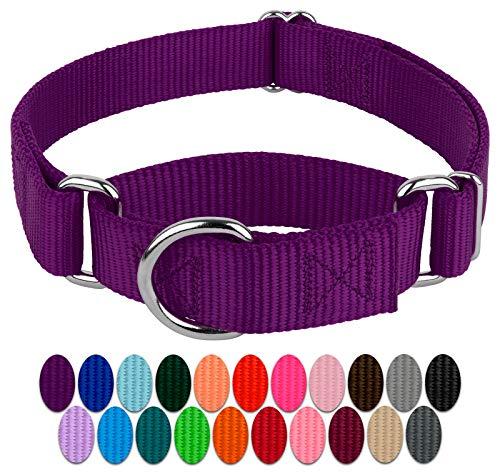 Country Brook Petz - Purple Martingale Heavy Duty Nylon Dog Collar - 21 Vibrant Color Options (1 Inch Width, Medium)