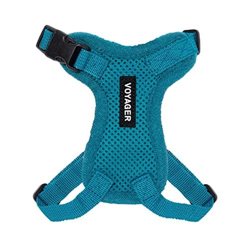 Voyager Step-in Lock Cat Harness - Adjustable Step-in Vest Harness for Small and Large Cats - Turquoise (Matching Trim), XX-Small