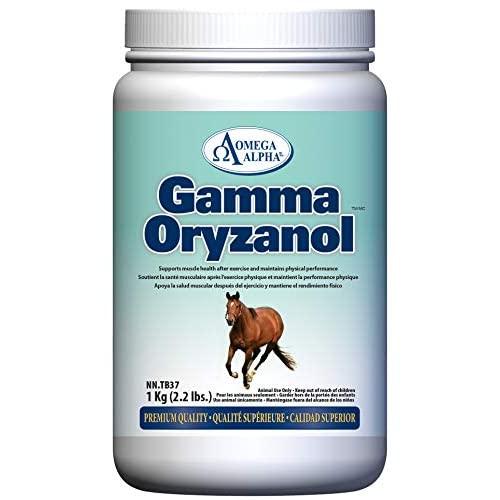 Gamma Oryzanol (Powder) 1 Kg (2.2 lbs.)