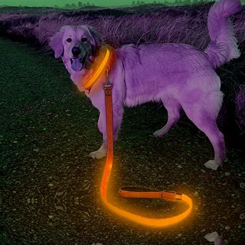 Candofly Glowing LED Dog Leash - USB Rechargeable Pet Dog Leashes 4 Ft Lighted Dog Leashes Reflective Dog Leash Keep Your Pets Be Seen & Safe in Darkness (Orange)