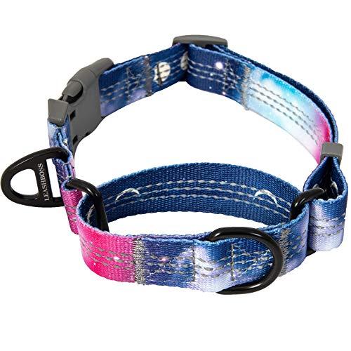 Leashboss Pattern Martingale Dog Collar, Reflective No-Pull Training Collar, Pattern Collection (Space Pattern - Large 19-24.5\