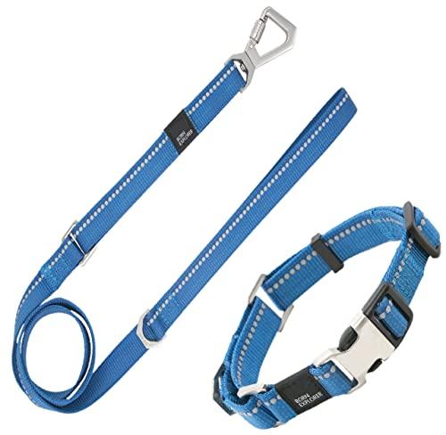 Pet Life Advent Outdoor Series Reflective Training Dog Leash and Collar, LG, Blue