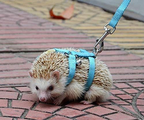 Adjustable Small Pet Hedgehog Harness for Training Playing Traction Rope (Blue)