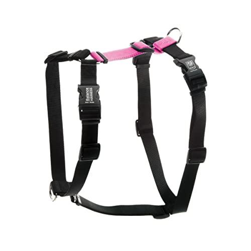 Blue-9 Buckle-Neck Balance Harness, Fully Customizable Fit No-Pull Harness, Ideal for Dog Training and Obedience, Made in The USA, Hot Pink, Medium