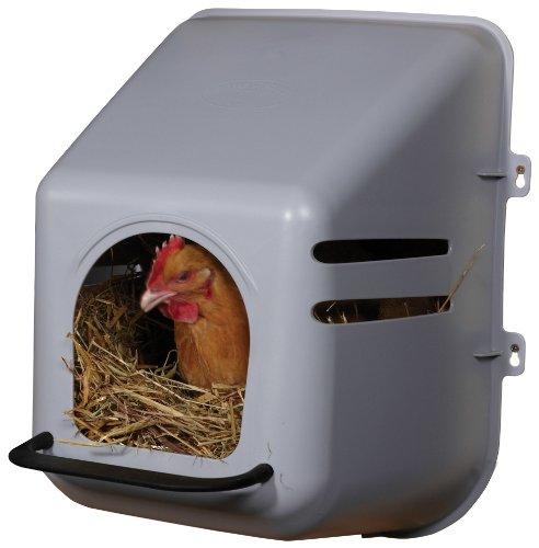 Little Giant Single Plastic Nesting Box Chicken Nest Box with Perch (Item No. 163620)