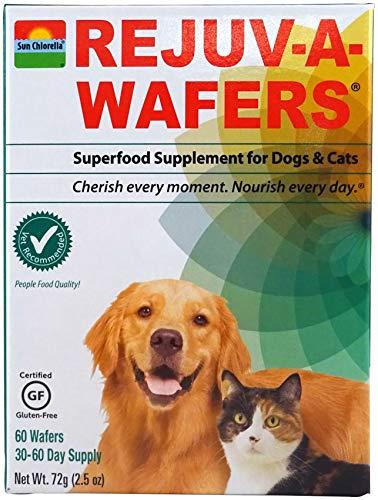 Sun Chlorella- Rejuv-A-Wafers- Chlorella & Eleuthero Superfood Supplement For Dogs And Cats (60 Wafers) (Rejuv-A-Wafers Single Wafers)