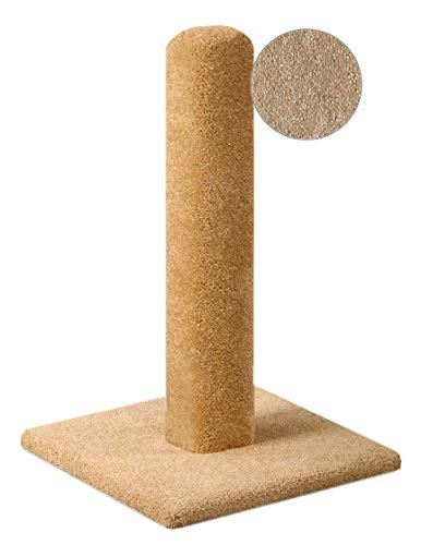  MECOOL Cat Scratching Post Premium Basics Kitten Scratcher  Sisal Scratch Posts with Hanging Ball 22 for Kittens or Smaller Cats (22  inches for Kitten, Gray) : Pet Supplies