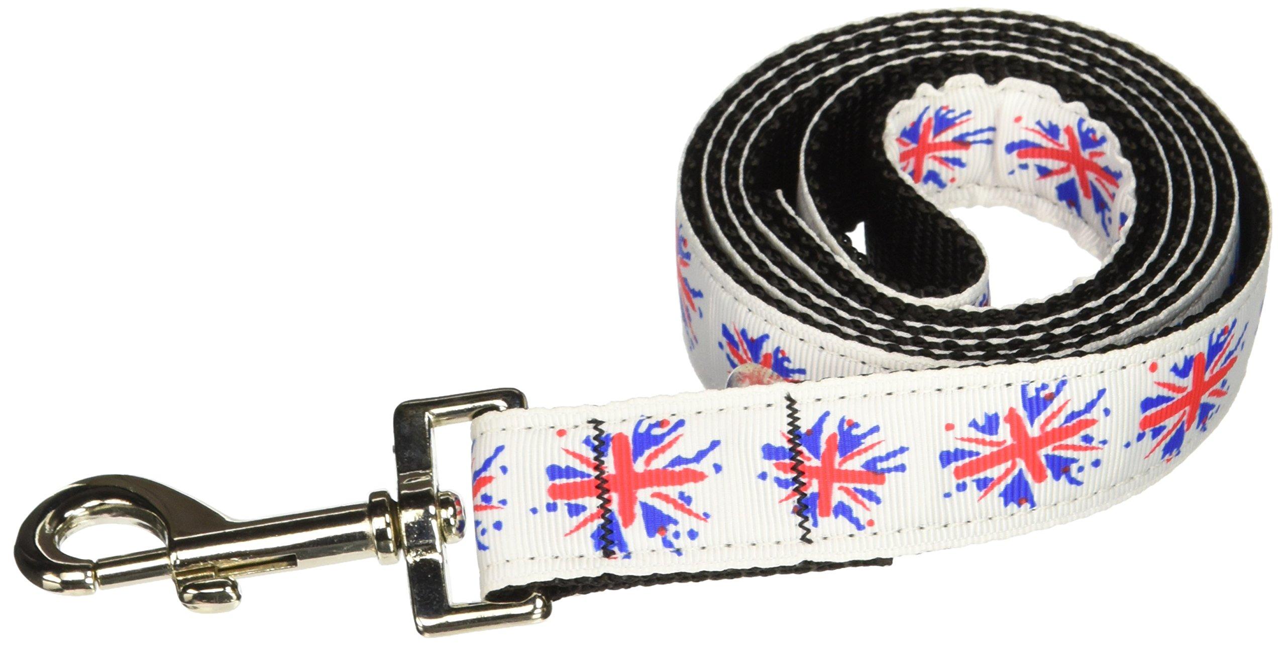 Mirage Pet Products graffiti Union Jack UK Flag Nylon Ribbon Leash for Pets 1-Inch by 4-Feet
