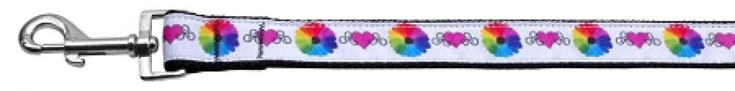 Mirage Pet Products Technicolor Love Nylon Ribbon Dog collar with 1-Inch by 4-Feet Leash
