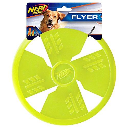 Nerf Dog Rubber Flyer Dog Toy, Flying Disc, Lightweight, Durable And Water Resistant, Great For Beach And Pool, 10 Inch Diameter, For Medium/Large Breeds, Single Unit, Green