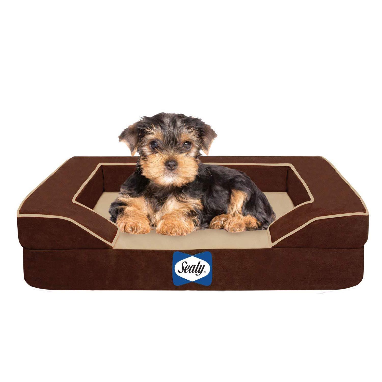 Sealy Dog Bed Lux Pet Dog Bed, Quad Layer Technology with Memory Foam, Orthopedic Foam, and Cooling Energy Gel. Machine Washable Cover. Small, Autumn Brown