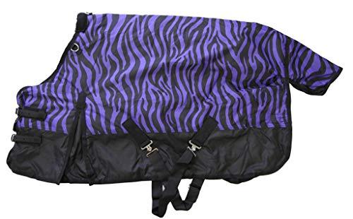 600D Medium Weight Horse Pony Blanket Water Proof Rip Stop Purple Zebra Print 56\\\