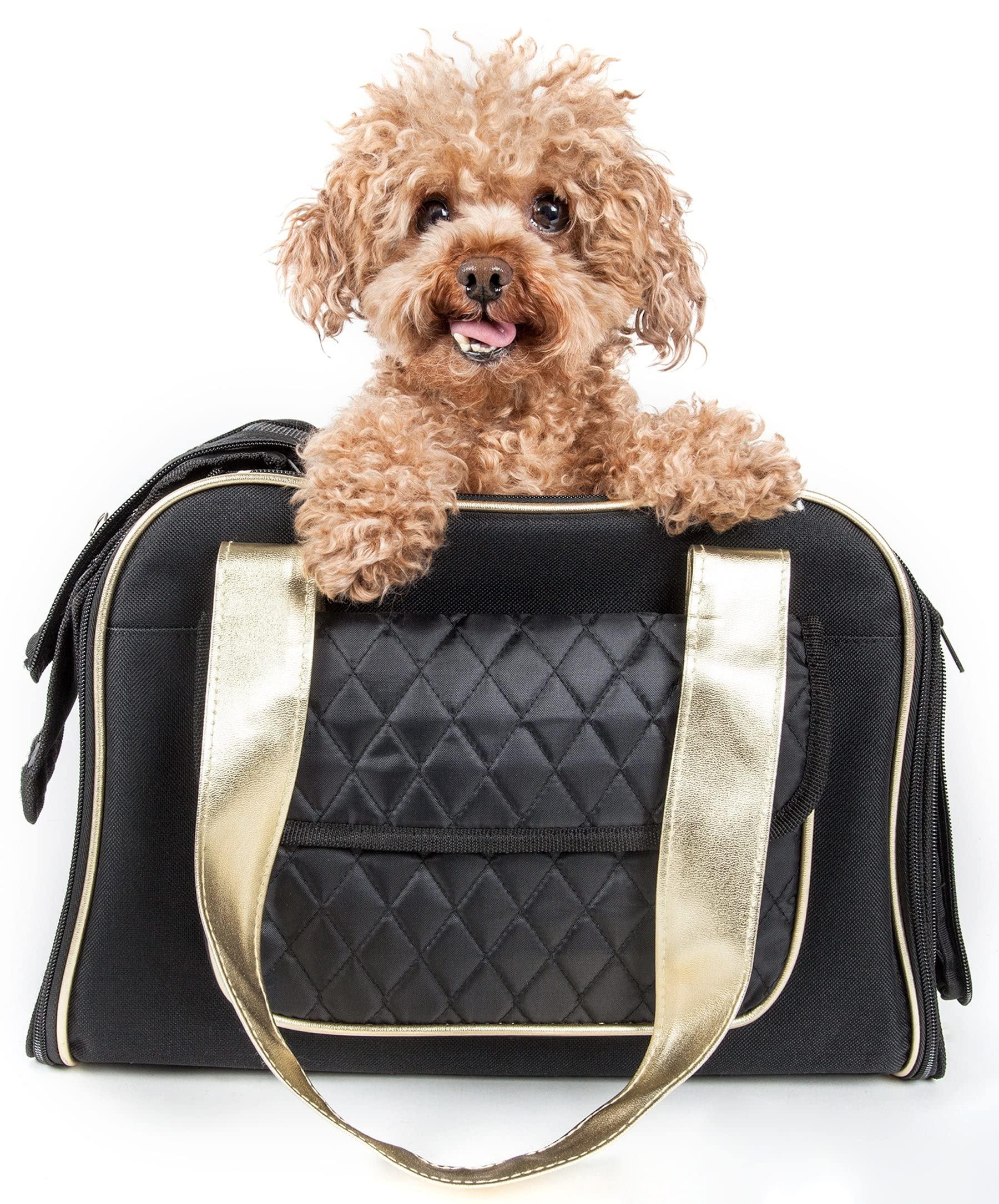 PET LIFE Mystique Airline Approved Fashion Designer Travel Pet Dog carrier, One Size, Black