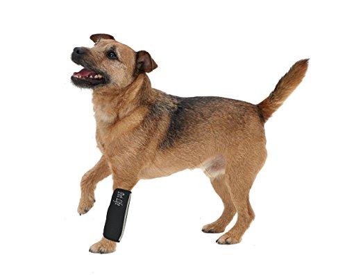 PET LIFE Extreme-Neoprene Joint and Hip Protective Recovery Supportive Reflective Pet Dog Sleeves, Small, Black