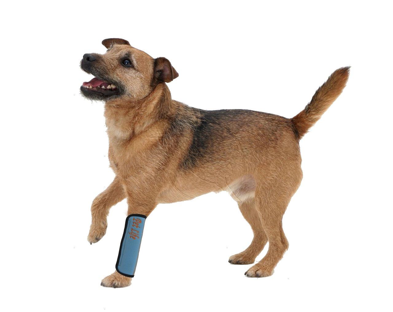 PET LIFE Extreme-Neoprene Joint and Hip Protective Recovery Supportive Reflective Pet Dog Sleeves Small Sky Blue