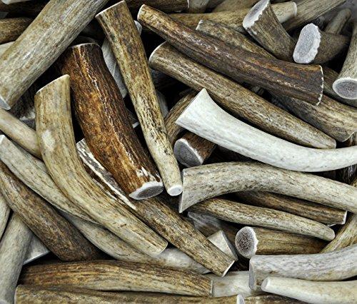 Downtown Pet Supply, 2 Pound Antler Variety Value Pack, Deer Antler Elk Chews, All Natural Premium Long Lasting Dog Treat Chew Sticks (from The USA) - Antlers by The Pound