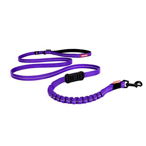 EzyDog Zero Shock Lite Bungee Dog Leash for Small Dogs - Perfect for Dogs 26 lbs or Less - Shock Absorbing Design for Superior Comfort and Control - Reflective for Nighttime Safety (72\\\