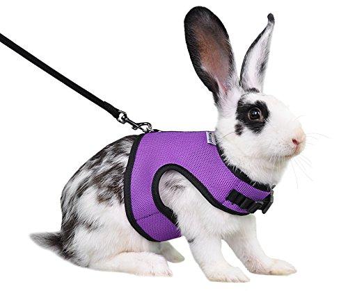 Niteangel Adjustable Soft Harness with Elastic Leash for Rabbits (L, Purple)