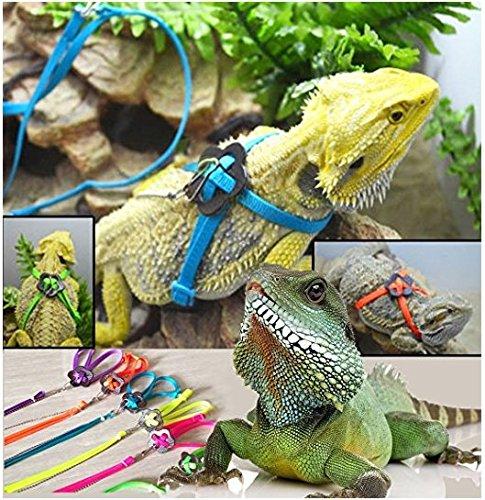 Serdokntbig Adjustable Reptile Lizard Harness Leash Adjustable Multicolor Light Soft Fashion