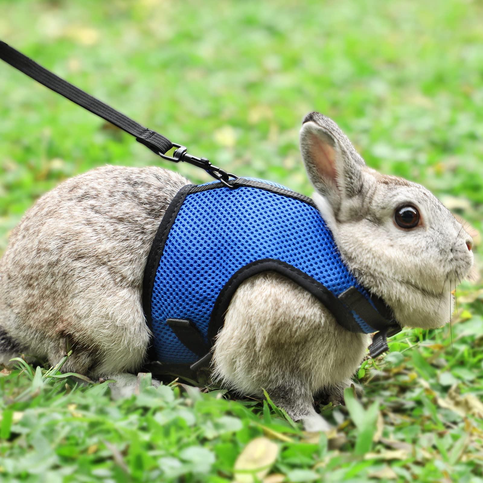 Pettom Bunny Rabbit Harness With Stretchy Leash Cute Adjustable Buckle Breathable Mesh Vest For Kitten Small Pets Walking (L(Chest:11-137 In), Blue)