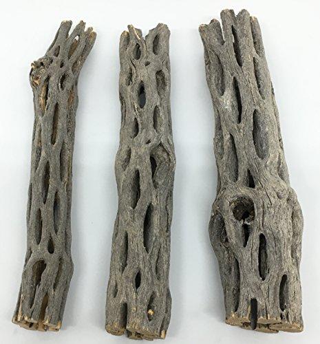 Awesome Aquatic Natural Cholla/Choya Wood 3 Pieces 6 for Shrimp Habitat and Food Treat Hermit Crabs Plecos Aquarium Decoration Lowers pH Hideouts and Chew Toys Reptiles Thorn Free Dried Organic