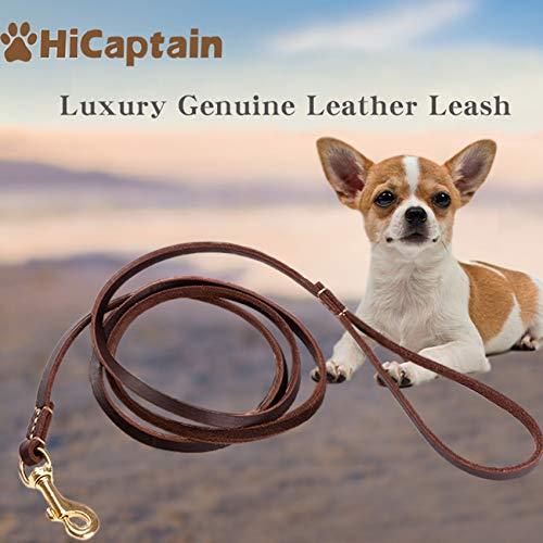 HiCaptain Thin Leather Pet Leash, Durable Dog Leashes Suit for Small Dog Up to 15 lb 00(1/5 inch Wide, 6 Ft)