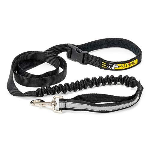 Alpine Outfitters Urban Trail Double Duty Leash with Padded Handle, Traffic Handle and 3M Scotchlite Reflective Bands --- Go Hand-Held or Hands-Free!