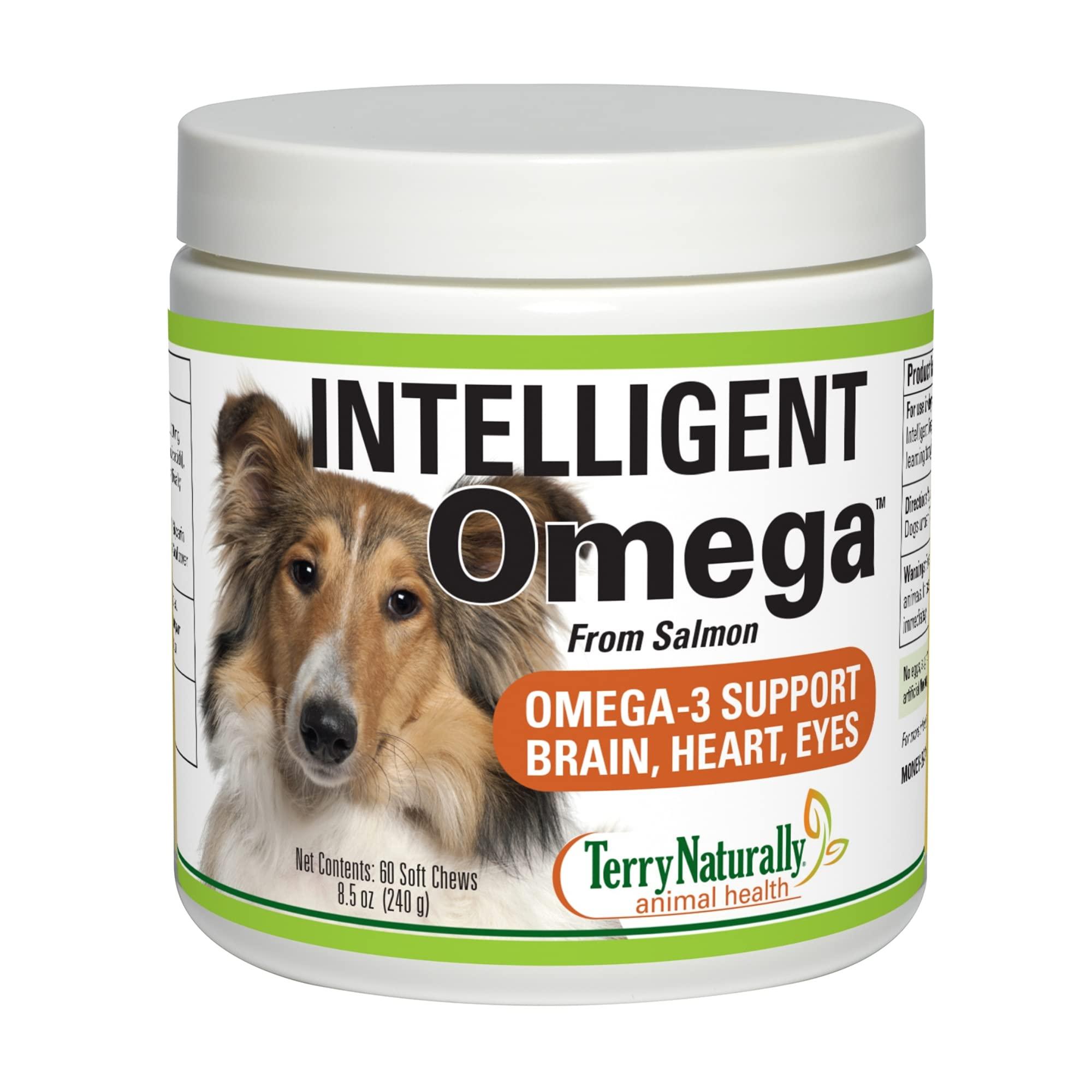 Terry Naturally Animal Health Intelligent Omega - 60 Soft Chews - Omega 3, Salmon Oil for Dogs, Promotes Brain, Heart & Eye Health - Canine Only - 60 Servings