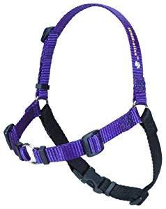 The Original Sense-ation No-Pull Dog Training Harness (Purple, Extra Small, Wide)