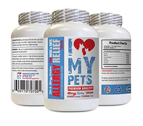 Cats Allergy Relief - Dog and CAT Allergy Relief - for Pets - Relieve ITCHING - Premium - bromelain for Cats - 75 Treats (1 Bottle)