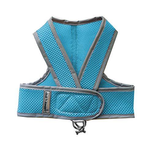 Cloak & Dawggie Mesh Step-N-Go Small Dog Harness Step In Teacup to 25 LBS. Vest Easy On Adjustable. XXXS Xsmall Toy Puppies to Medium. Reflective Soft Walking Doggy Wrap Vest (7200)(Medium, Turquoise)