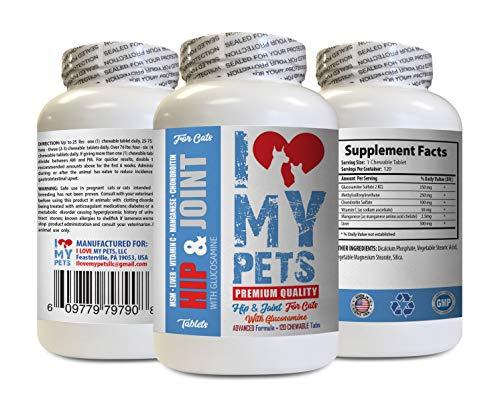 cat Hip and Joint Supplements - CAT Hip and Joint Support - Best Strong Formula - cat Joint Pain Relief - 120 Treats (1 Bottle)