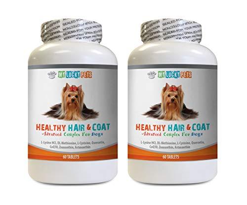 MY LUCKY PETS LLC Dog Skin Itch - Dog Healthy Hair and Coat - Shinny Coat - Skin Health - Immune Support - Nail Health - Dog Vitamin b Complex - 120 Treats (2 Bottles)