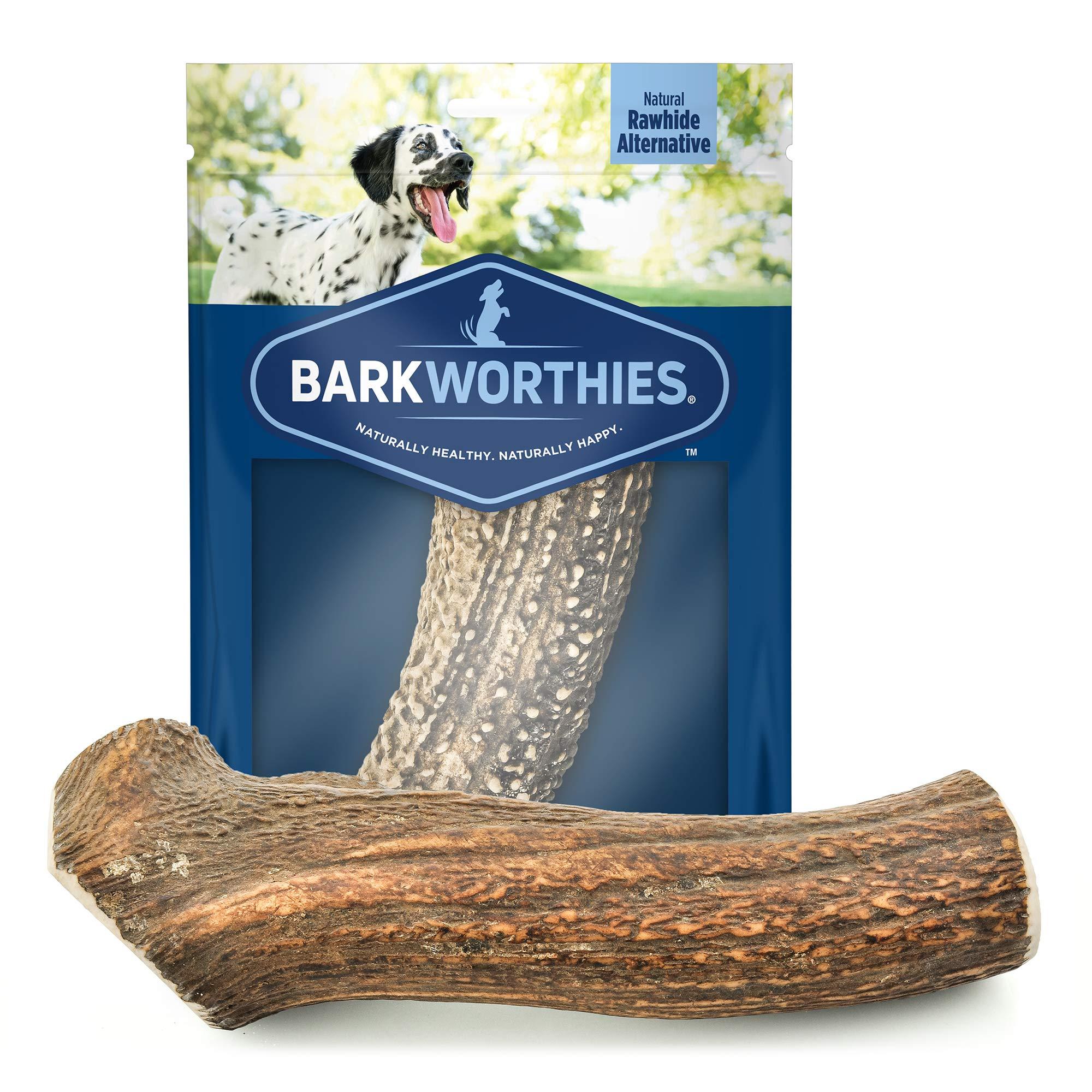 Barkworthies Hand Selected Naturally Shed Extra Large Whole Elk Antler (Single Antler) - Long Lasting, Odor Free Dog Chew for XL Breed Dogs - No Chemical Treatments, No Added Preservatives