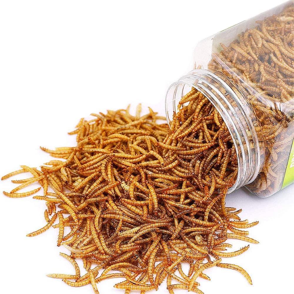 Reptile Food Dried Mealworms Pet Worms Food for Bearded Dragon, Lizard, Turtles, Chameleon, Monitor, Frog, Sugar Glider, Chickens, Ducks, Wild Birds, Fish, Hamsters and Hedgehogs (8 OZ)