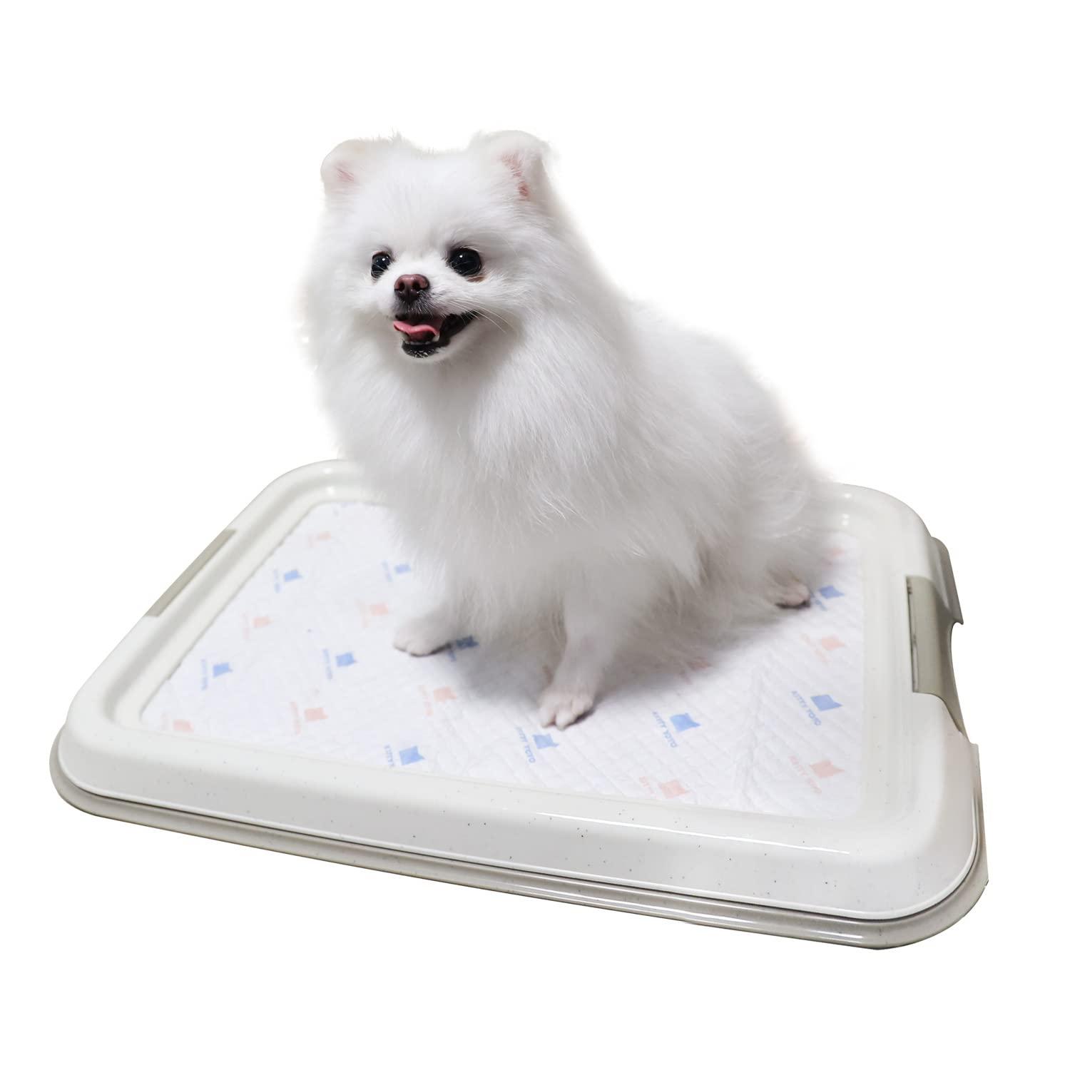 PAWISE Pee Pad Holder for Puppy Pads, Dog Pad Holder, Pee Pad Tray for Training Pads,Puppy Pad Holder (19.2\\\