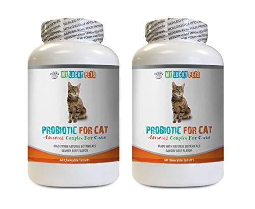 MY LUCKY PETS LLC cat probiotic Blend - CAT PROBIOTICS - Advanced Natural Digestive AID Formula - GET RID of Bad Breath and Stop Diarrhea - cat Stomach Sensitive - 2 Bottles (120 Treats)