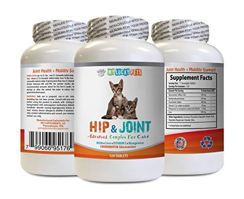 MY LUCKY PETS LLC cat Immune Support - CAT Hip and Joint Complex - Increase Mobility and Reduce Joint Stiffness - Immune Support - Vet Approved - Natural cat glucosamine - 1 Bottle (120 Tabs)