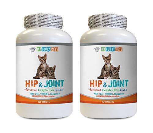 MY LUCKY PETS LLC Immune Harmony for Cats - CAT Hip and Joint Complex - Increase Mobility and Reduce Joint Stiffness - Immune Support - Vet Approved - cat Liver Supplement - 2 Bottles (240 Tabs)